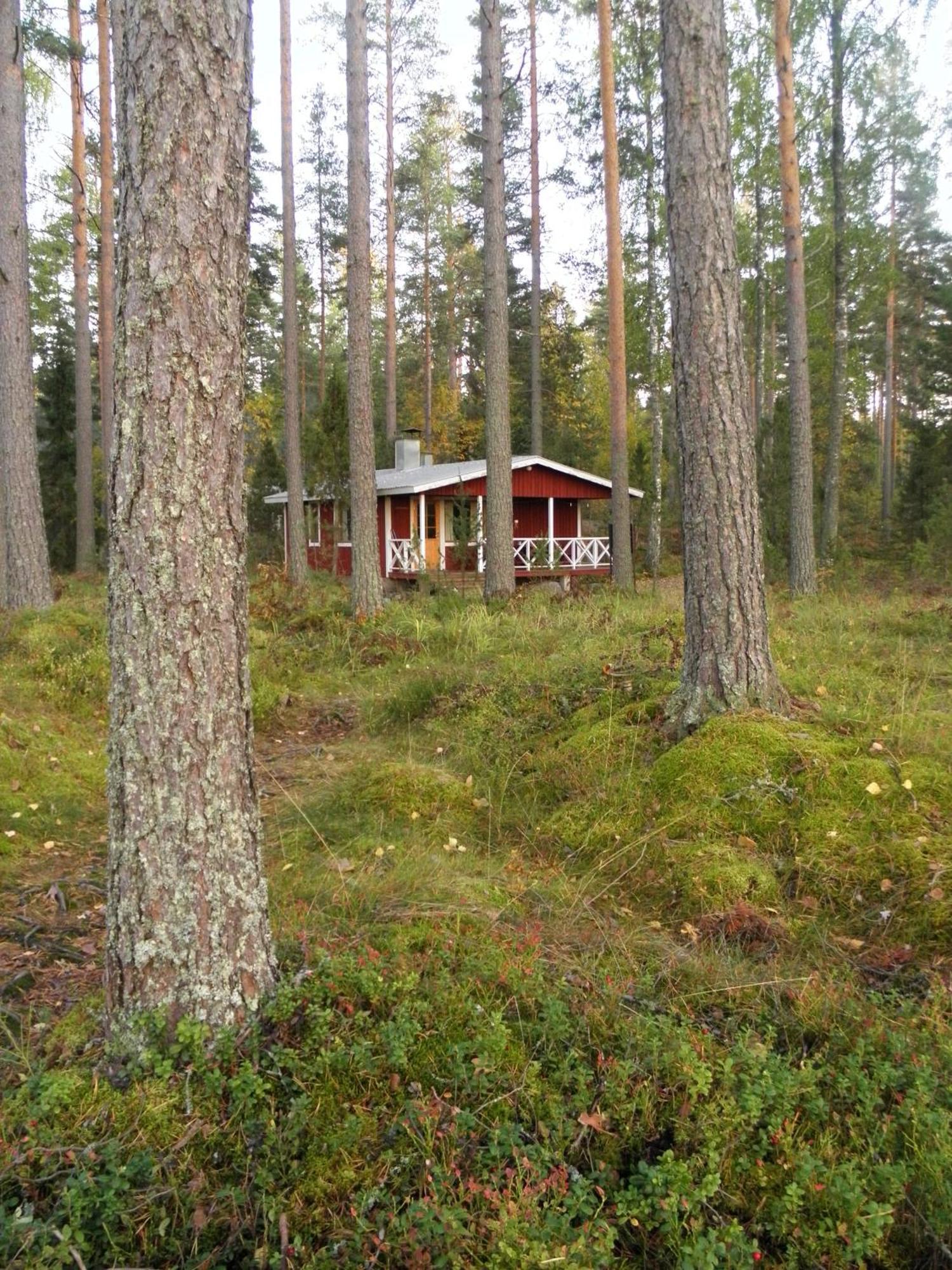 Loikansaari Lomamoekit Holiday Cottages Kallislahti Eksteriør billede