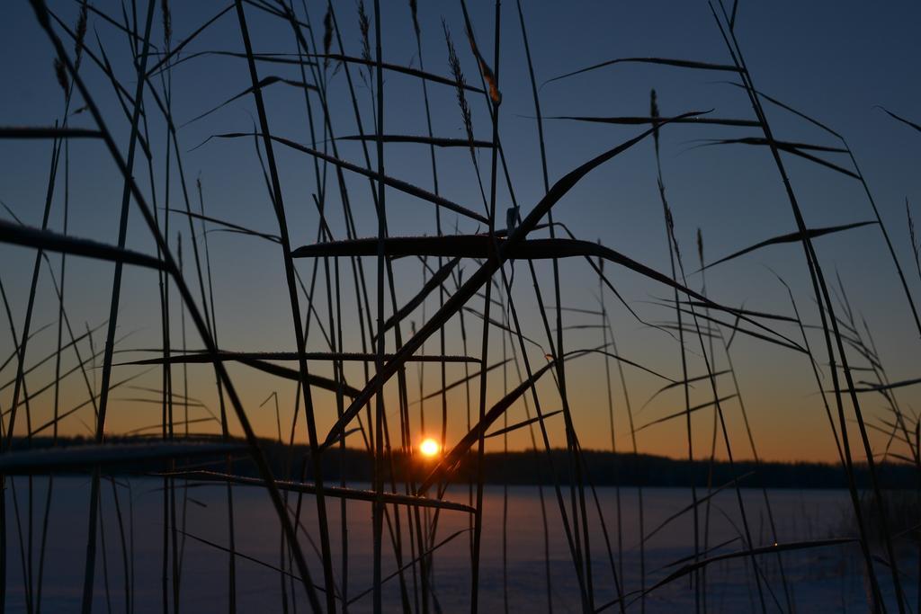 Loikansaari Lomamoekit Holiday Cottages Kallislahti Eksteriør billede